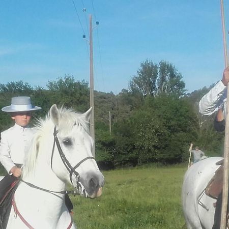 Chambres D'Hotes Au Mas Du Sire Quissac  Zewnętrze zdjęcie