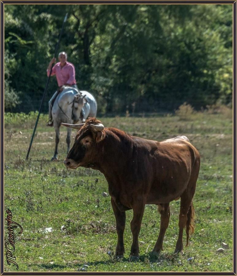 Chambres D'Hotes Au Mas Du Sire Quissac  Zewnętrze zdjęcie